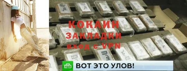 прущие грибы Белокуриха