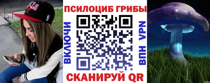 Галлюциногенные грибы Psilocybe  Ульяновск 